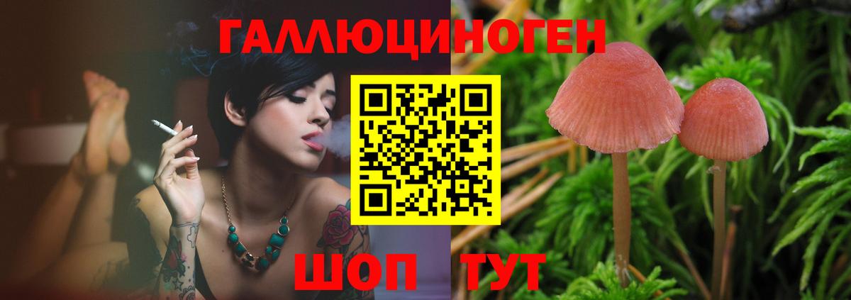 Псилоцибиновые грибы MAGIC MUSHROOMS Ростов-на-Дону